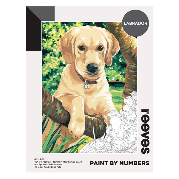 Picture of Paint By Numbers 12X16in Labrador