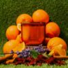 Picture of Orange & Sandalwood 410g Candle, by Home Fragrance Co.